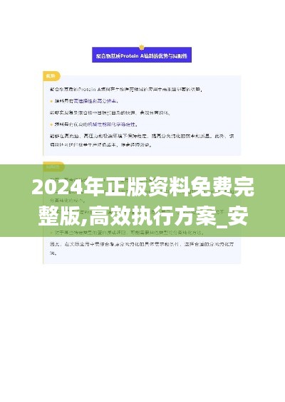 2024年正版資料免費完整版,高效執行方案_安靜版BIG13.24