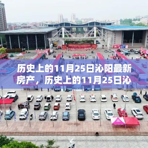 歷史上的11月25日沁陽房產深度評測與最新介紹