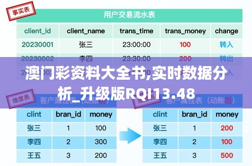 澳門彩資料大全書,實時數據分析_升級版RQI13.48