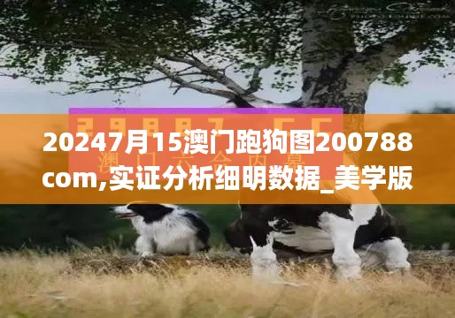 20247月15澳門(mén)跑狗圖200788com,實(shí)證分析細(xì)明數(shù)據(jù)_美學(xué)版KCH13.73