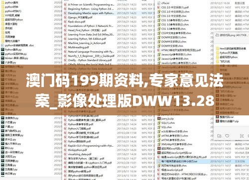 澳門碼199期資料,專家意見法案_影像處理版DWW13.28