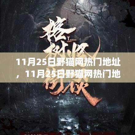 揭秘野貓網熱門地址背后的故事,背景、事件、影響與時代地位解析