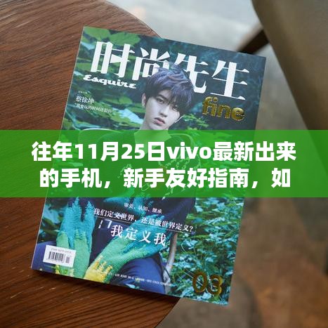 新手友好指南如何獲取并體驗(yàn)vivo最新手機(jī)，以往年11月25日機(jī)型為例