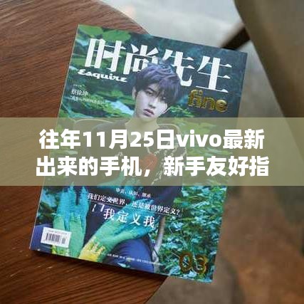 新手友好指南如何獲取并體驗vivo最新手機,以往年11月25日機型為例