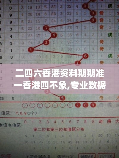 二四六香港資料期期準一香港四不象,專業數據解釋設想_實現版SXX13.78