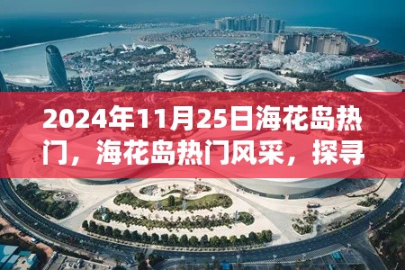 探尋?；◢u的獨特魅力，2024年11月25日的熱門風采展示