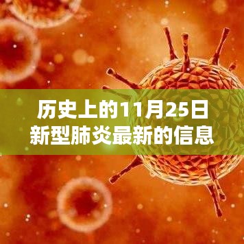 歷史上的11月25日,新型肺炎最新信息深度解析與回顧