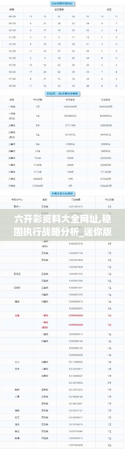 六開彩資料大全網址,穩固執行戰略分析_迷你版EJN13.48