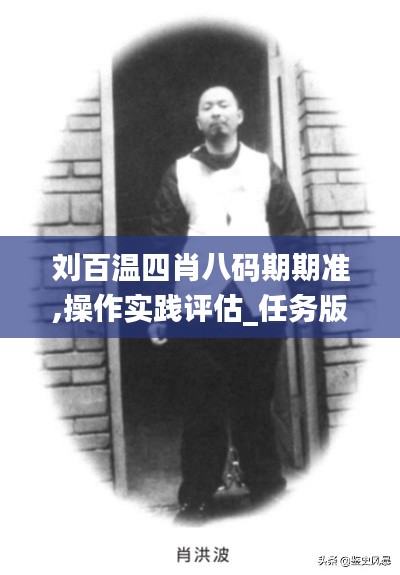 劉百溫四肖八碼期期準,操作實踐評估_任務(wù)版FSA13.66