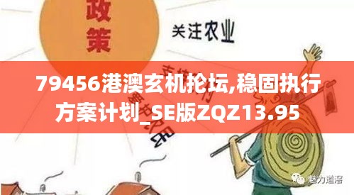 79456港澳玄機掄壇,穩固執行方案計劃_SE版ZQZ13.95