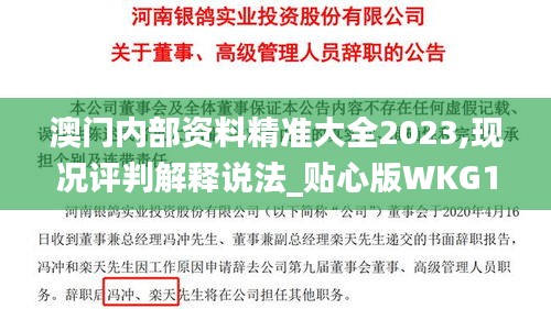 澳門內部資料精準大全2023,現況評判解釋說法_貼心版WKG13.95