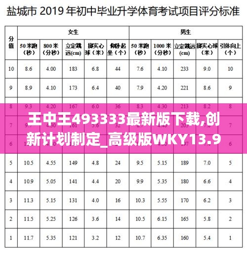 王中王493333最新版下載,創新計劃制定_高級版WKY13.96