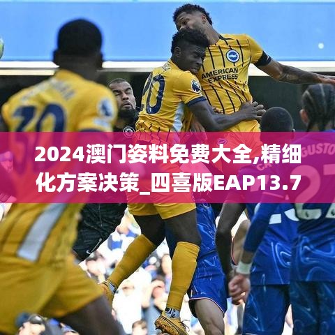 2024澳門姿料免費大全,精細化方案決策_四喜版EAP13.77