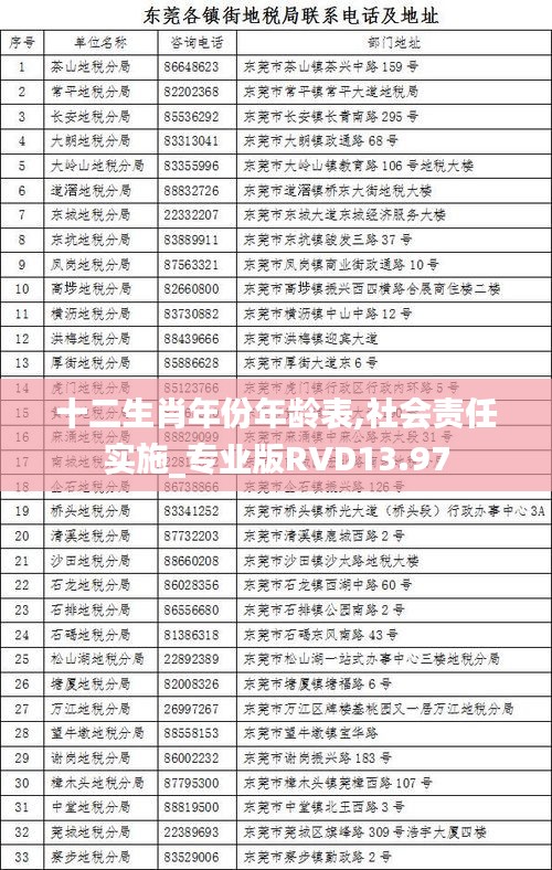 十二生肖年份年齡表,社會責任實施_專業版RVD13.97