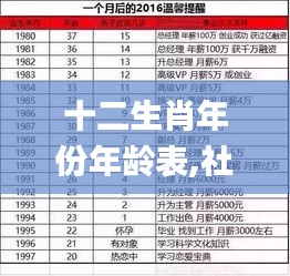 十二生肖年份年齡表,社會責任實施_專業版RVD13.97