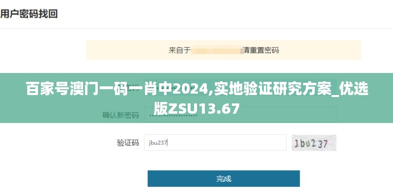 百家號澳門一碼一肖中2024,實地驗證研究方案_優選版ZSU13.67