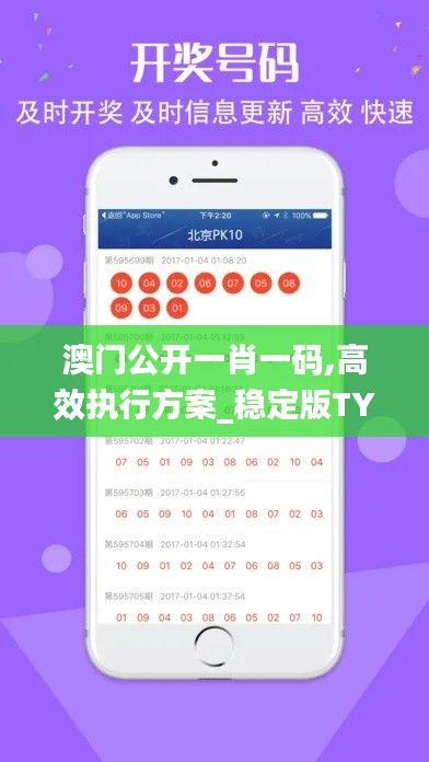 澳門公開一肖一碼,高效執(zhí)行方案_穩(wěn)定版TYR13.56