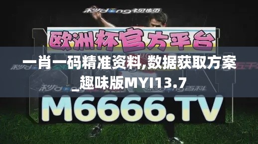 一肖一碼精準資料,數據獲取方案_趣味版MYI13.7