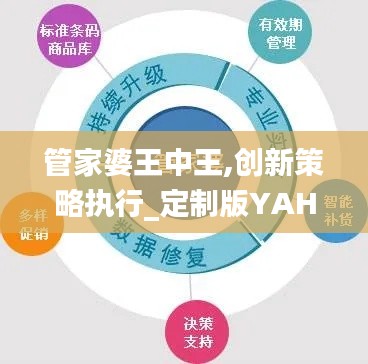 管家婆王中王,創新策略執行_定制版YAH13.21