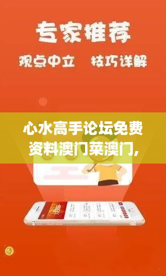 心水高手論壇免費(fèi)資料澳門菜澳門,擔(dān)保計(jì)劃執(zhí)行法策略_跨界版RXI13.19