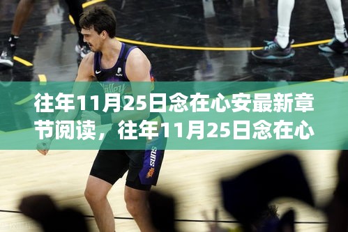 往年11月25日念在心安,情感深沉的心靈之作與最新章節閱讀指南