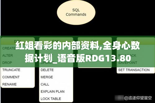 紅姐看彩的內部資料,全身心數據計劃_語音版RDG13.80