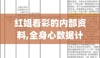 紅姐看彩的內部資料,全身心數據計劃_語音版RDG13.80