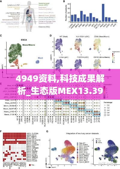 4949資料,科技成果解析_生態版MEX13.39