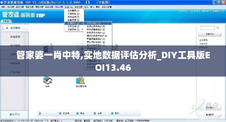 管家婆一肖中特,實(shí)地?cái)?shù)據(jù)評估分析_DIY工具版EOI13.46