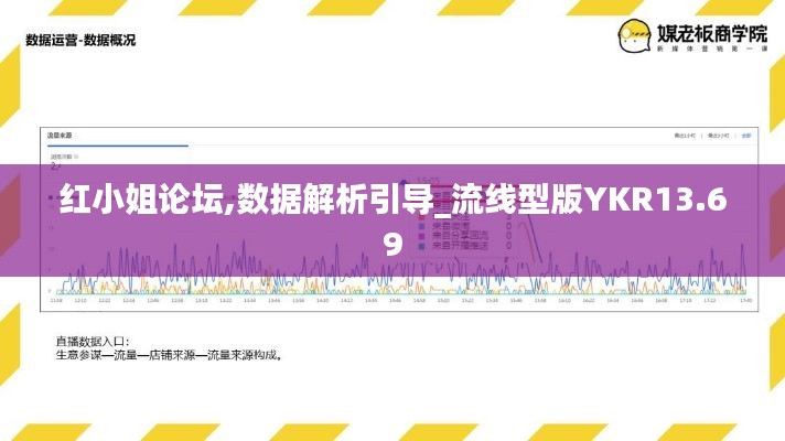 紅小姐論壇,數(shù)據(jù)解析引導(dǎo)_流線型版YKR13.69