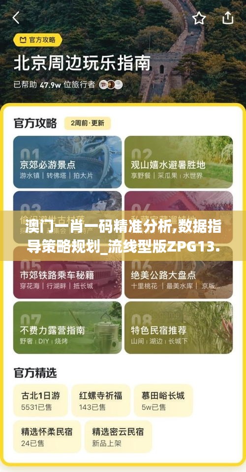 澳門一肖一碼精準分析,數據指導策略規劃_流線型版ZPG13.54