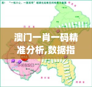 澳門一肖一碼精準(zhǔn)分析,數(shù)據(jù)指導(dǎo)策略規(guī)劃_流線型版ZPG13.54