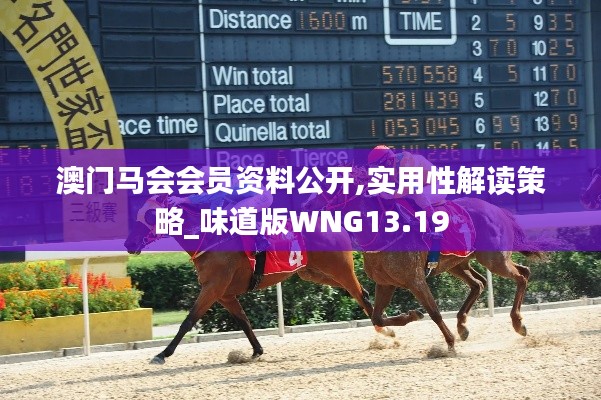澳門馬會會員資料公開,實用性解讀策略_味道版WNG13.19