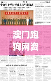 澳門跑狗網資料大全集,平衡執行計劃實施_移動版LIT13.19
