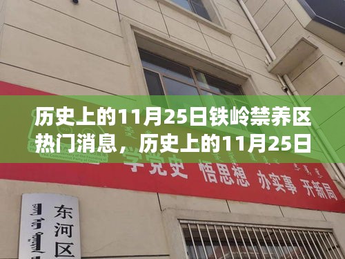 歷史上的11月25日鐵嶺禁養區事件回顧與最新消息速遞