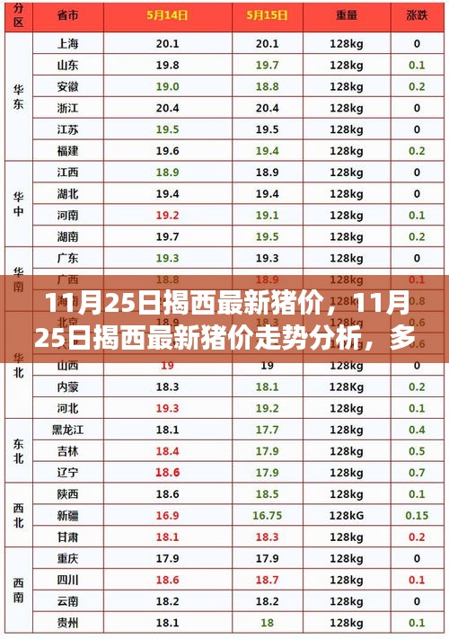 11月25日揭西最新豬價走勢分析，多方觀點與個人立場碰撞