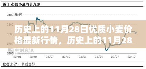 歷史上的11月28日優(yōu)質小麥價格最新行情深度解析