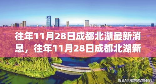往年11月28日成都北湖新篇章,變化中的學(xué)習(xí)塑造自信與成就之路