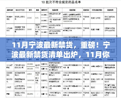 寧波最新禁貨清單發布,11月重要資訊,你必須了解!