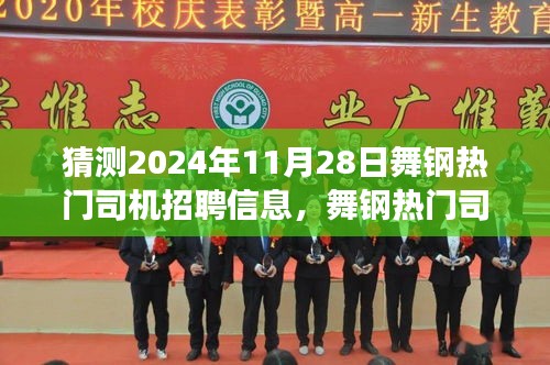 舞鋼熱門司機招聘趨勢展望,深度解析招聘市場現狀與未來預測(2024年預測)