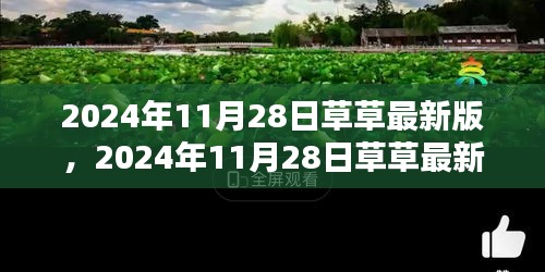 2024年11月28日草草最新版產品評測與詳細介紹