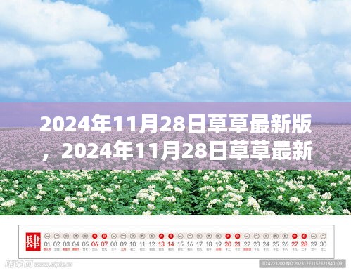 2024年11月28日草草最新版產品評測與詳細介紹