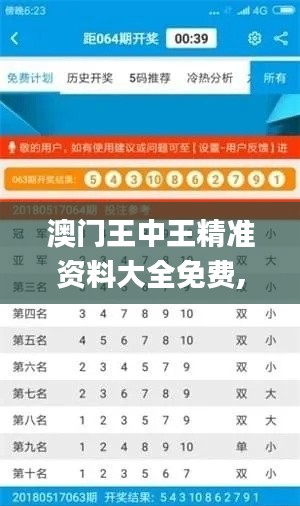 澳門王中王精準資料大全免費,實用性解讀策略_娛樂版FBT13.1