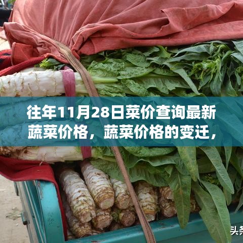 尋找自信與成就感的種子,蔬菜價格的變遷與歷年11月28日最新菜價查詢