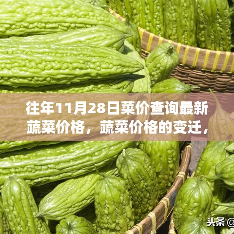 尋找自信與成就感的種子,蔬菜價格的變遷與歷年11月28日最新菜價查詢