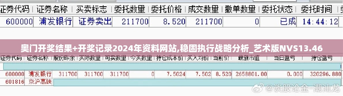 奧門開獎結果+開獎記錄2024年資料網站,穩固執行戰略分析_藝術版NVS13.46