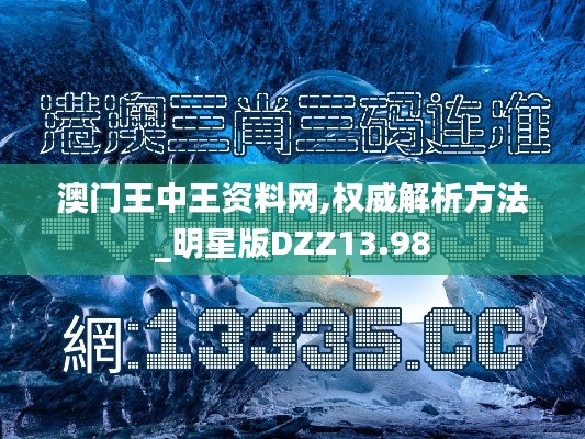 澳門王中王資料網,權威解析方法_明星版DZZ13.98