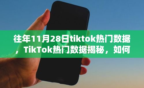 揭秘往年11月28日TikTok流行趨勢與熱門數(shù)據(jù)解析