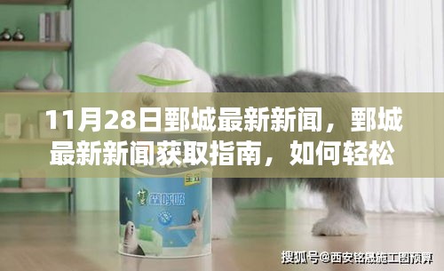 11月28日鄄城最新新聞及獲取指南,輕松掌握新聞資訊的步驟
