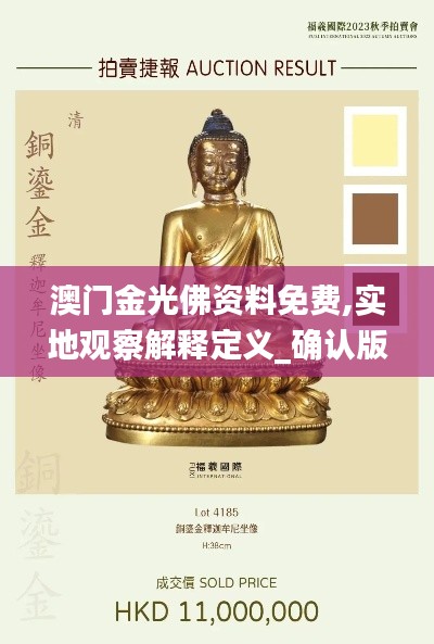 澳門金光佛資料免費,實地觀察解釋定義_確認版JYU13.83